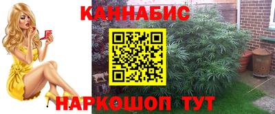 mdpv Усть-Джегута