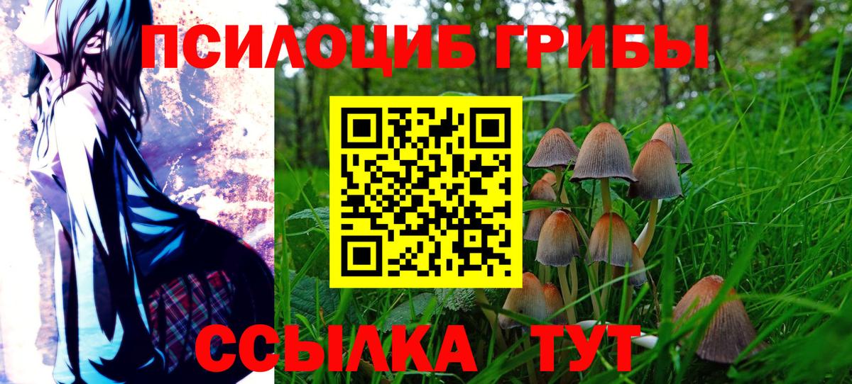 Галлюциногенные грибы Magic Shrooms  Галлюциногенные грибы Magic Shrooms  Великий Новгород  Вход с VPN 